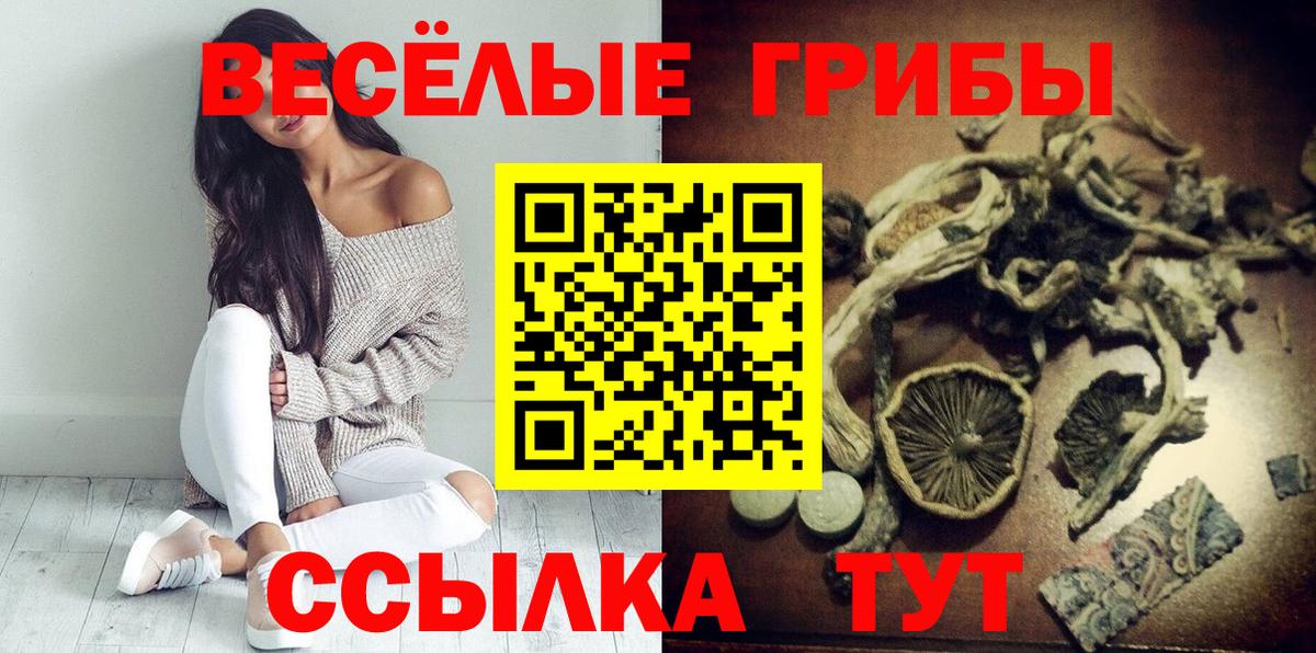 Чебаркуль  Галлюциногенные грибы мицелий  Вход с VPN 